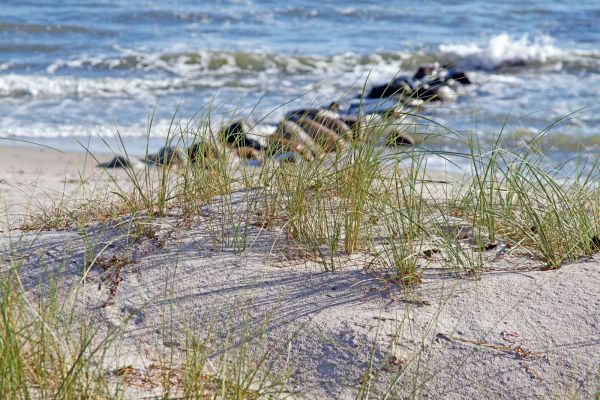 Strand | Foto: Kollenberg